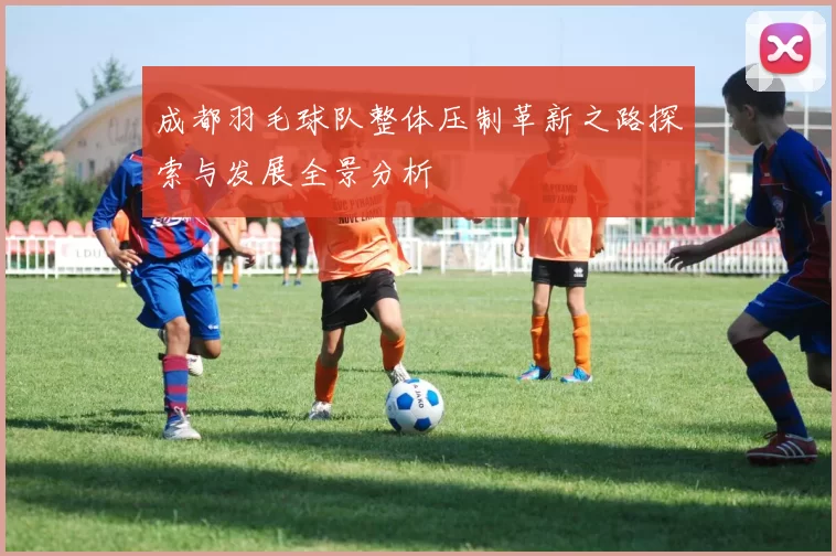 成都羽毛球队整体压制革新之路探索与发展全景分析