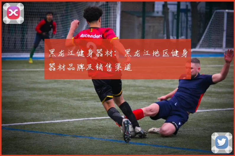 黑龙江健身器材：黑龙江地区健身器材品牌及销售渠道