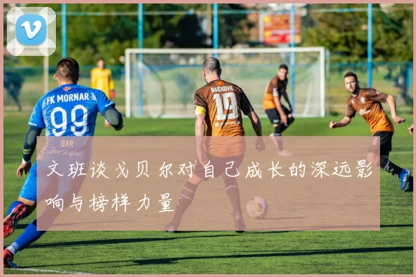 文班谈戈贝尔对自己成长的深远影响与榜样力量