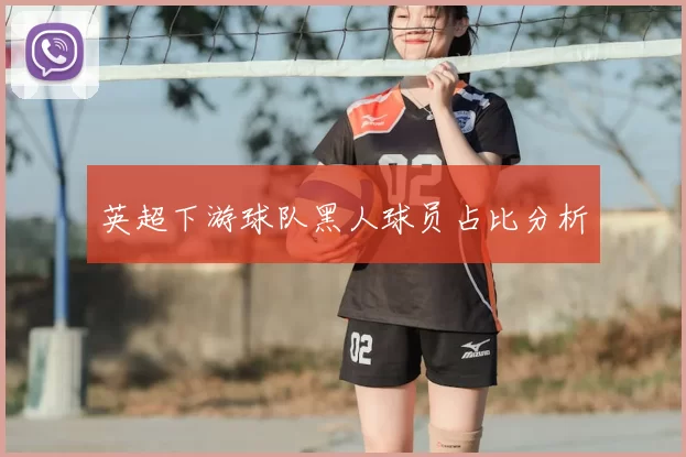 英超下游球队黑人球员占比分析
