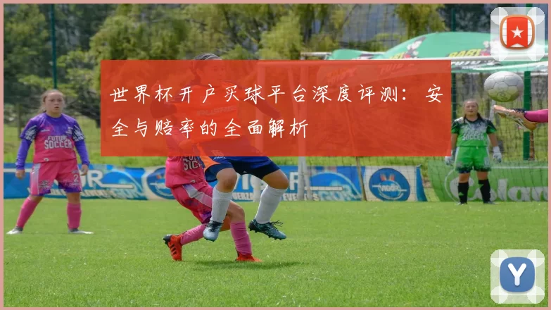 世界杯开户买球平台深度评测：安全与赔率的全面解析