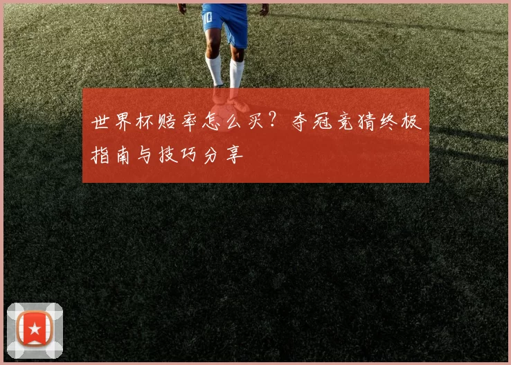 世界杯赔率怎么买?夺冠竞猜终极指南与技巧分享