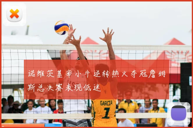 诺维茨基率小牛逆转热火夺冠詹姆斯总决赛表现低迷