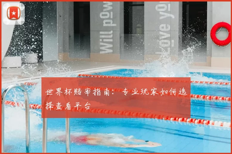 世界杯赔率指南：专业玩家如何选择查看平台