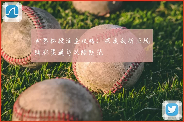 世界杯投注全攻略：深度剖析正规购彩渠道与风险防范