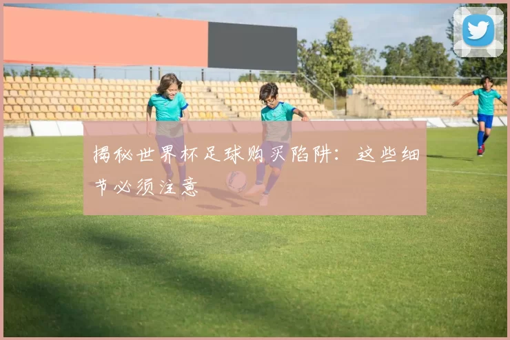 揭秘世界杯足球购买陷阱：这些细节必须注意