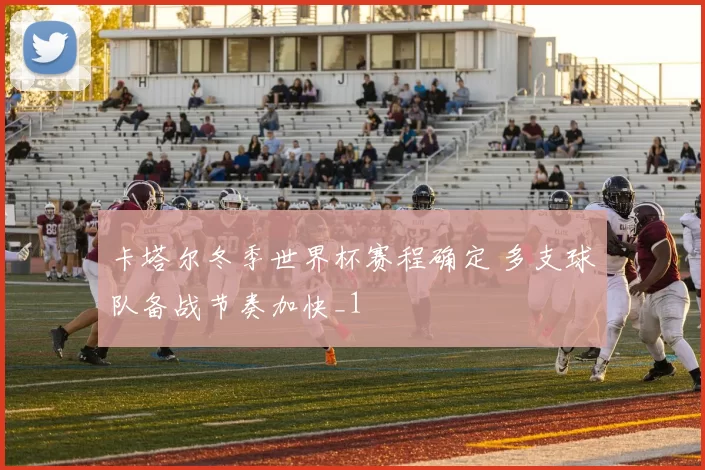 卡塔尔冬季世界杯赛程确定 多支球队备战节奏加快_1