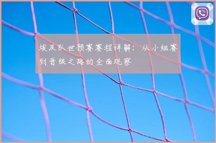 埃及队世预赛赛程详解：从小组赛到晋级之路的全面观察