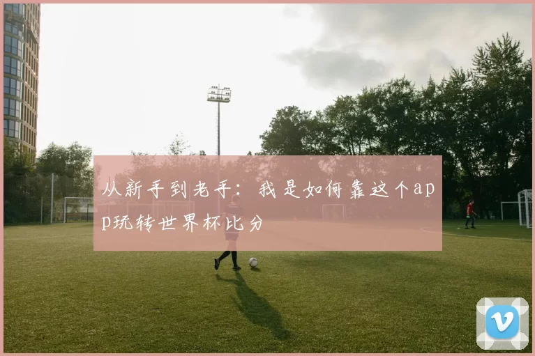 从新手到老手：我是如何靠这个app玩转世界杯比分