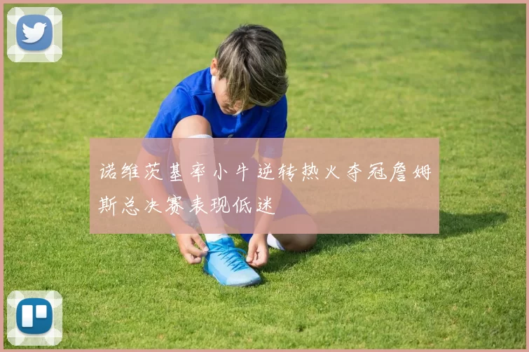 诺维茨基率小牛逆转热火夺冠詹姆斯总决赛表现低迷